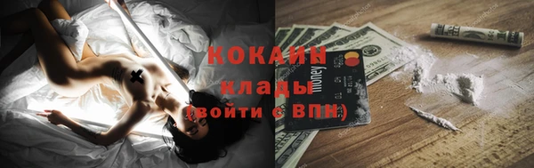 первитин Богданович