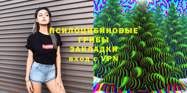 тгк Володарск
