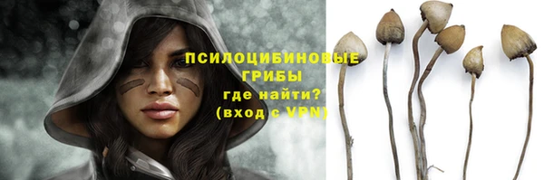 хмурый Верхний Тагил
