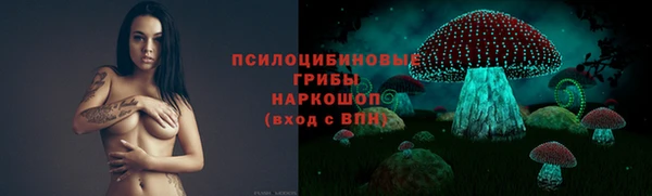 хмурый Верхний Тагил